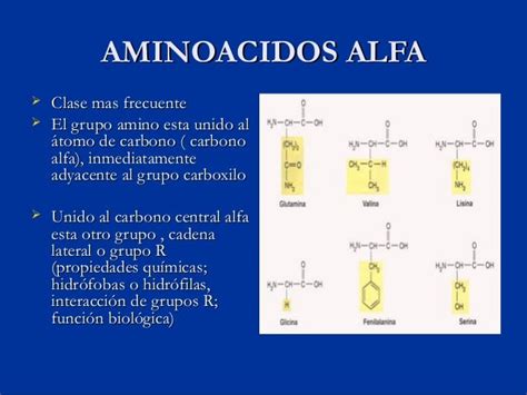 alfa beta|Grupo Alfa Beta.